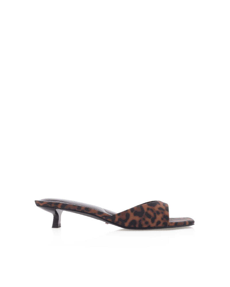 BRODY LEOPARD 1